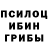 Галлюциногенные грибы Psilocybe IVAN}}RUS