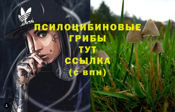 марки lsd Балабаново